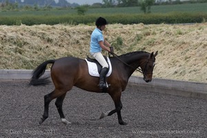 ISIS Dressage Challenge 2008